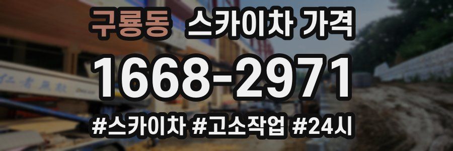 구룡동 스카이차 가격