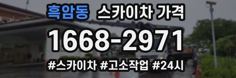 흑암동 스카이차 가격