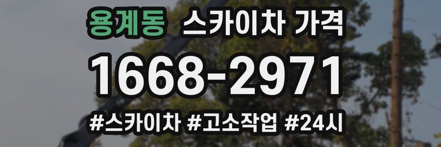 용계동 스카이차 가격