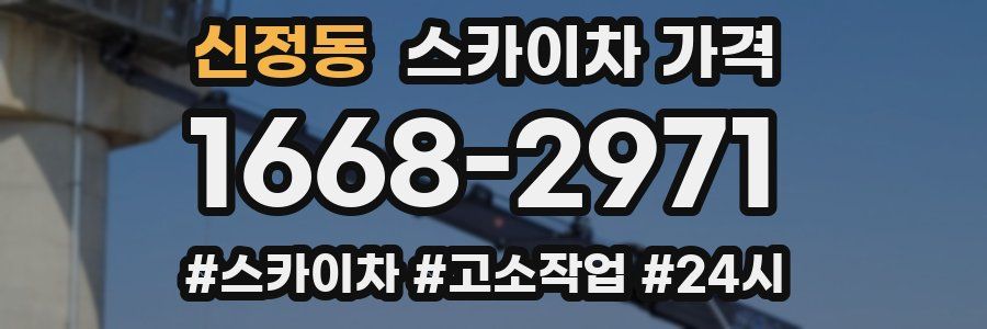 신정동 스카이차 가격