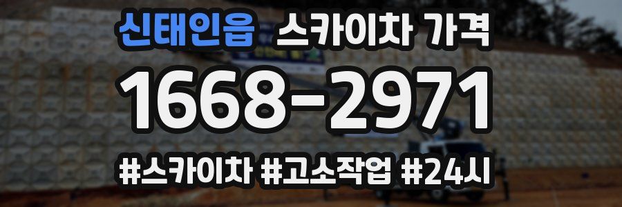 신태인읍 스카이차 가격