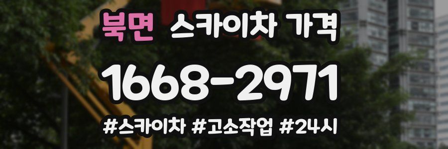 북면 스카이차 가격