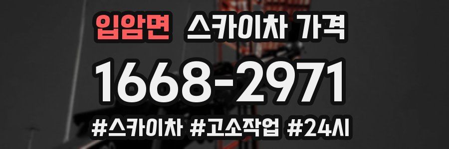 입암면 스카이차 가격