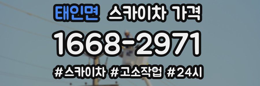 태인면 스카이차 가격