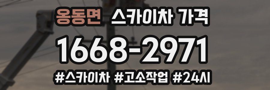 옹동면 스카이차 가격