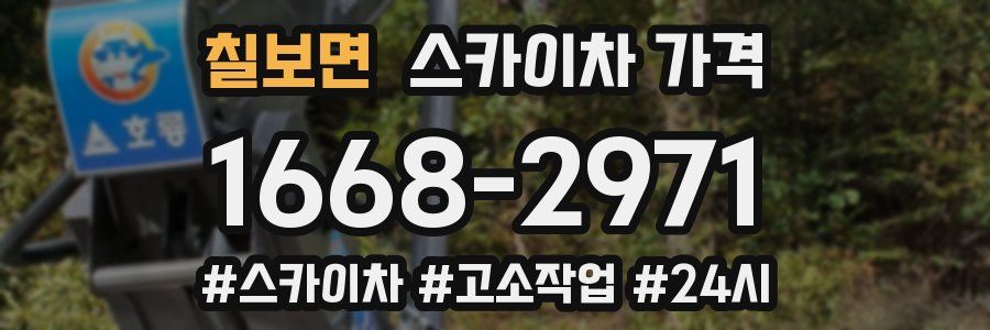 칠보면 스카이차 가격