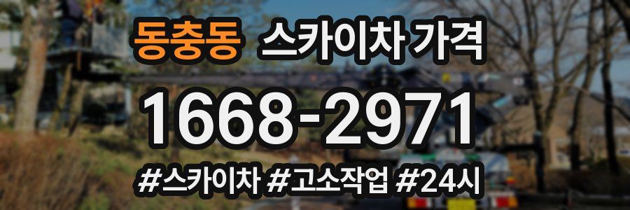 동충동 스카이차 가격