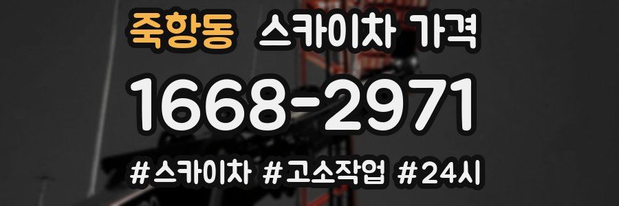 죽항동 스카이차 가격