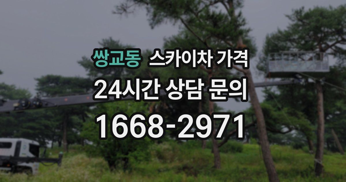 쌍교동 스카이차 가격