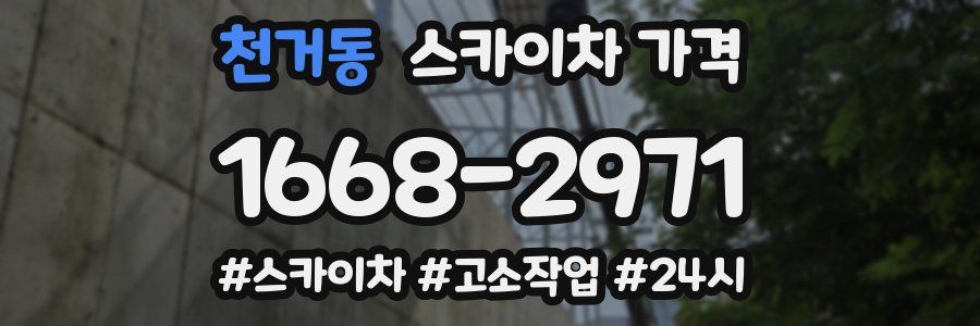 천거동 스카이차 가격