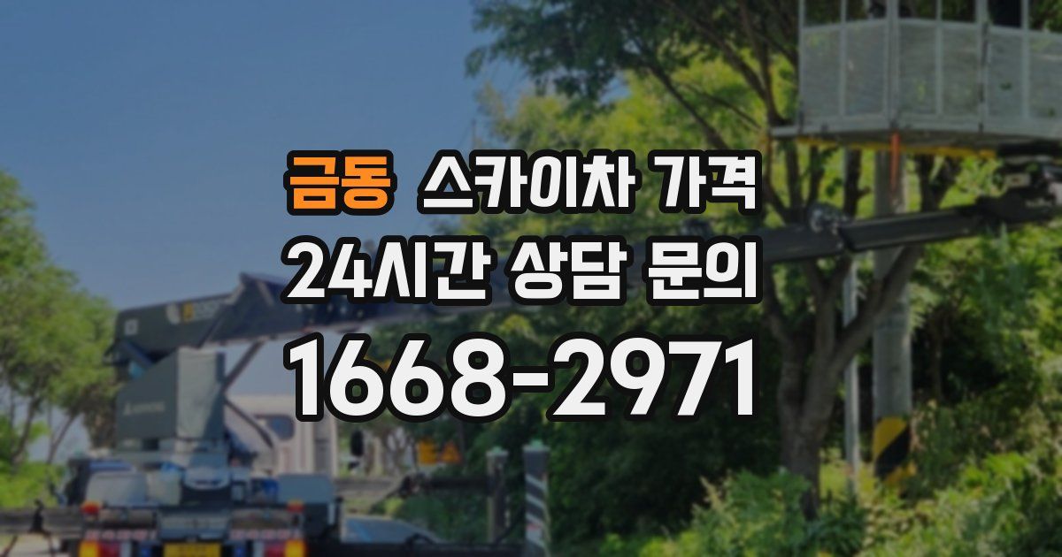 금동 스카이차 가격