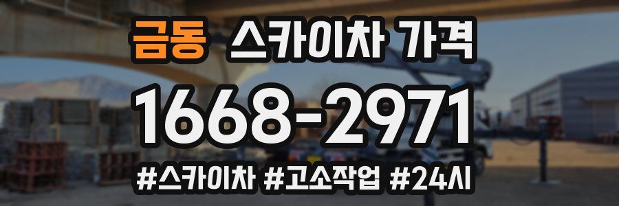 금동 스카이차 가격