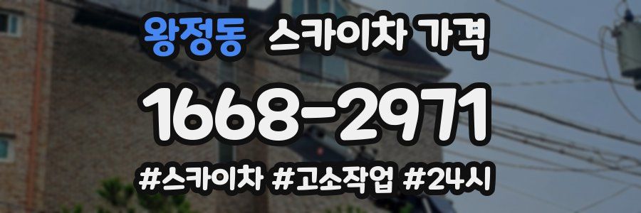 왕정동 스카이차 가격