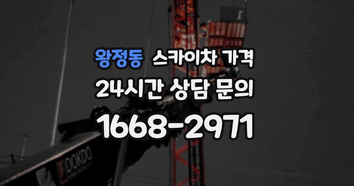 왕정동 스카이차 가격