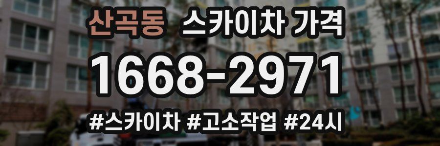 산곡동 스카이차 가격