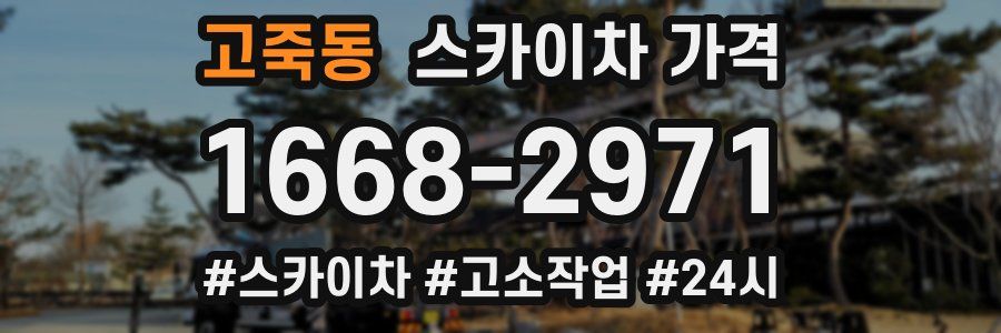 고죽동 스카이차 가격