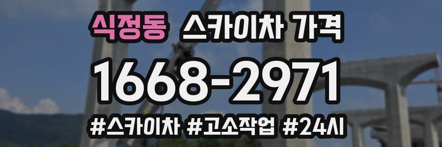 식정동 스카이차 가격