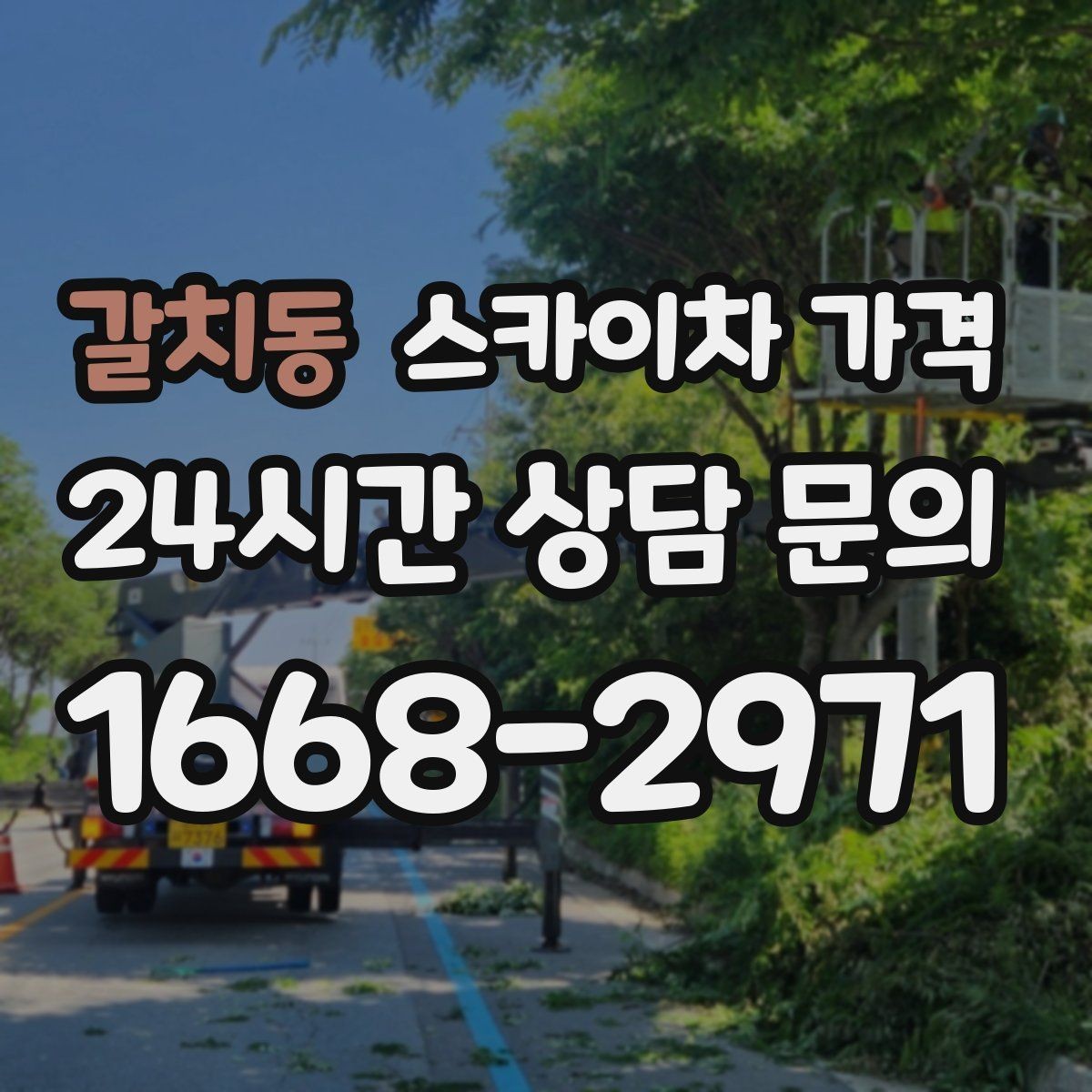갈치동 스카이차 가격 현장 조건이 가격을 바꾸는 핵심 포인트