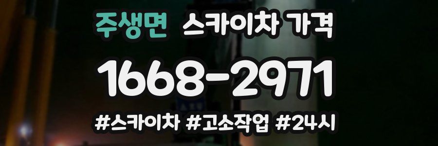 주생면 스카이차 가격