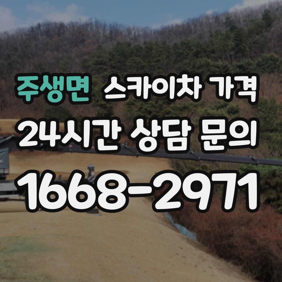 주생면 스카이차 가격