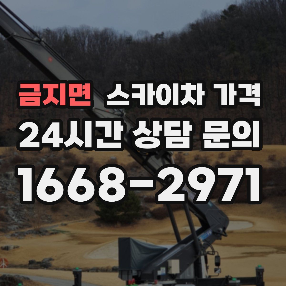 금지면 스카이차 가격