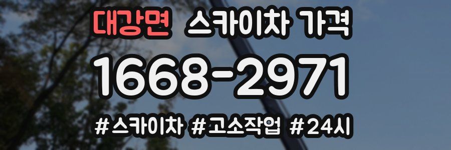 대강면 스카이차 가격