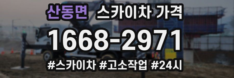 산동면 스카이차 가격