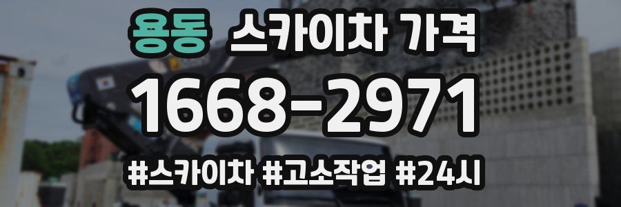 용동 스카이차 가격