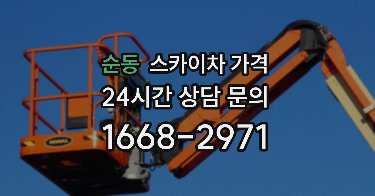 순동 스카이차 가격