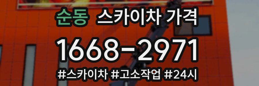 순동 스카이차 가격