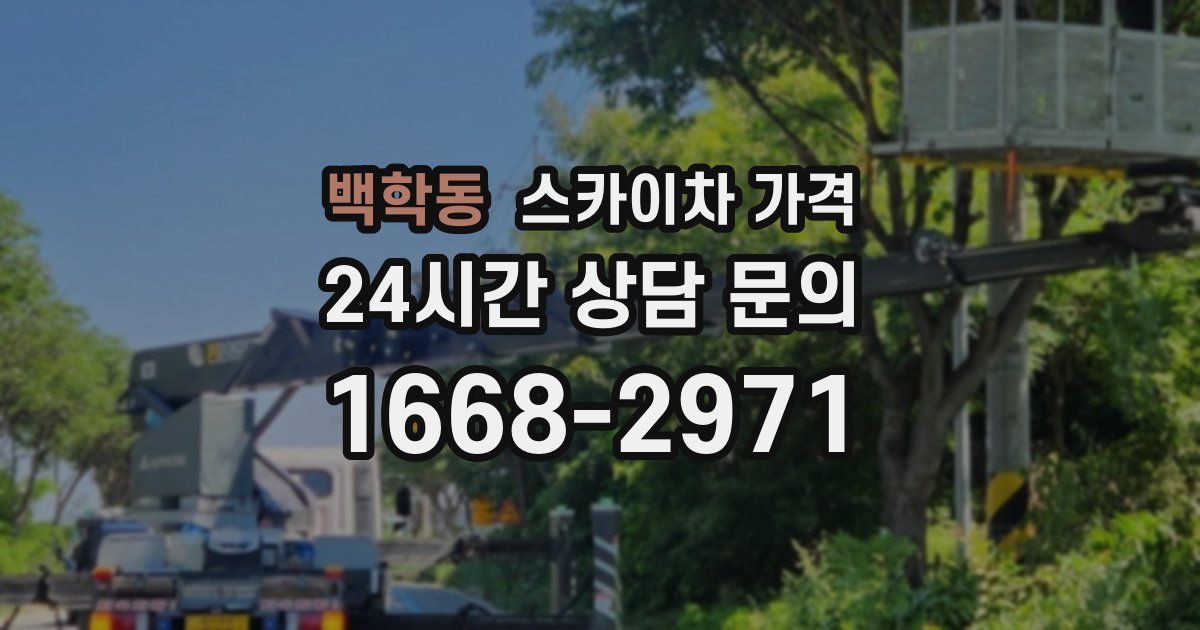 백학동 스카이차 가격