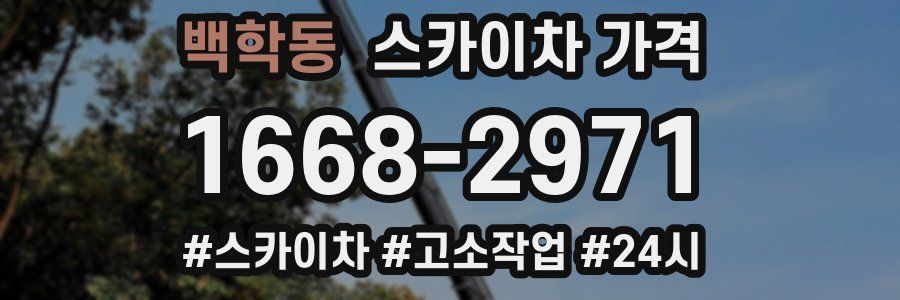 백학동 스카이차 가격