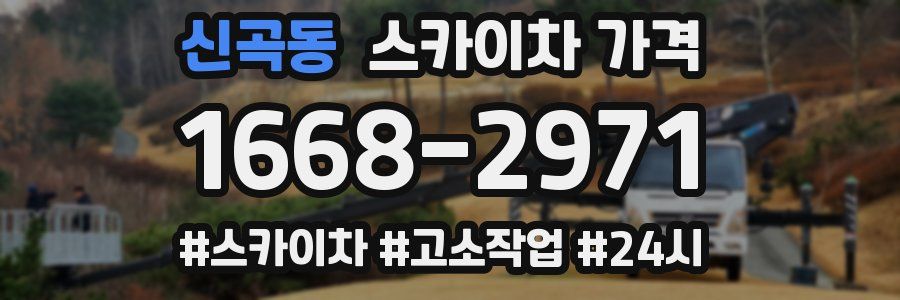 신곡동 스카이차 가격