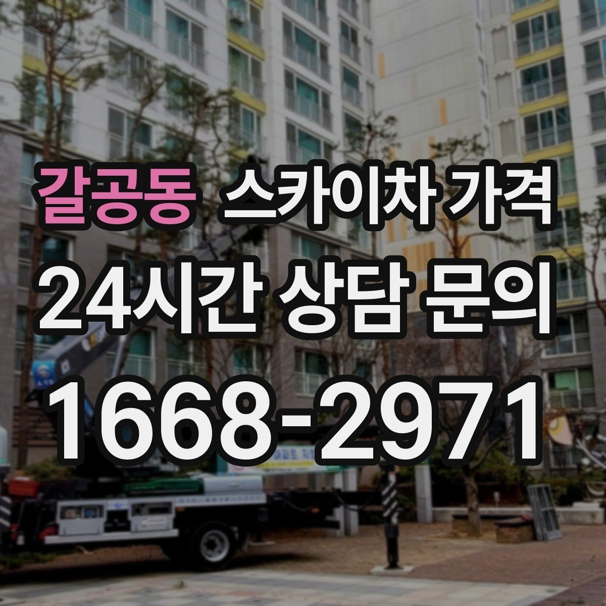 갈공동 스카이차 가격 나무 전지 작업은 가지 위치가 변수가 됩니다