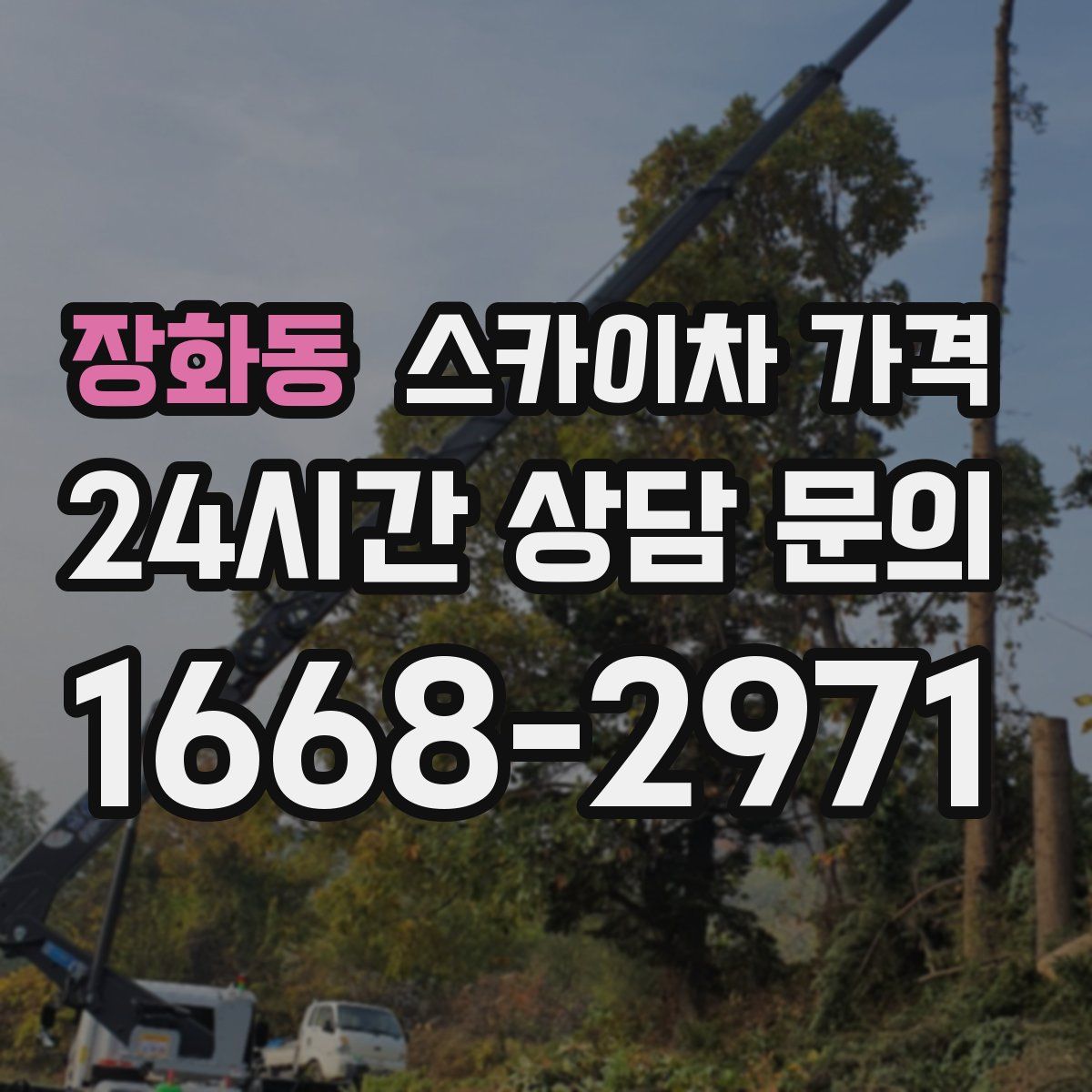 장화동 스카이차 가격