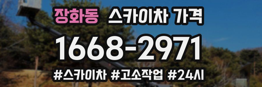 장화동 스카이차 가격