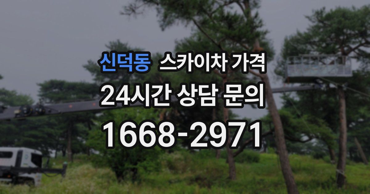 신덕동 스카이차 가격