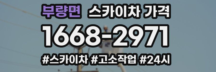 부량면 스카이차 가격