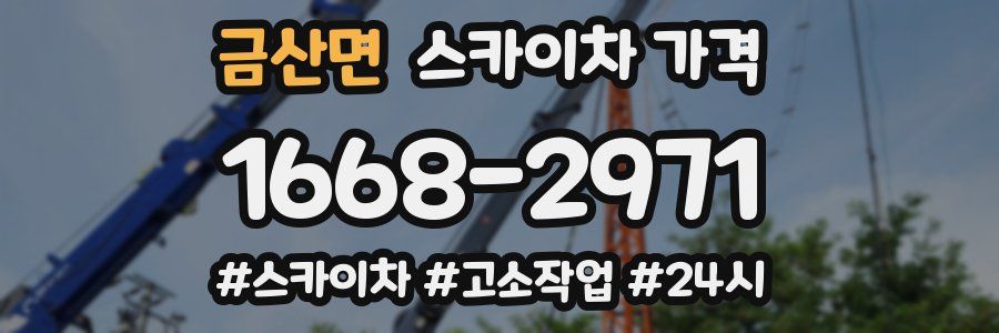 금산면 스카이차 가격