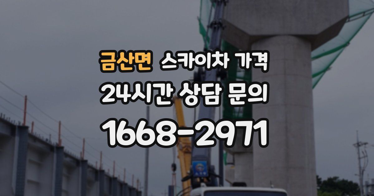 금산면 스카이차 가격