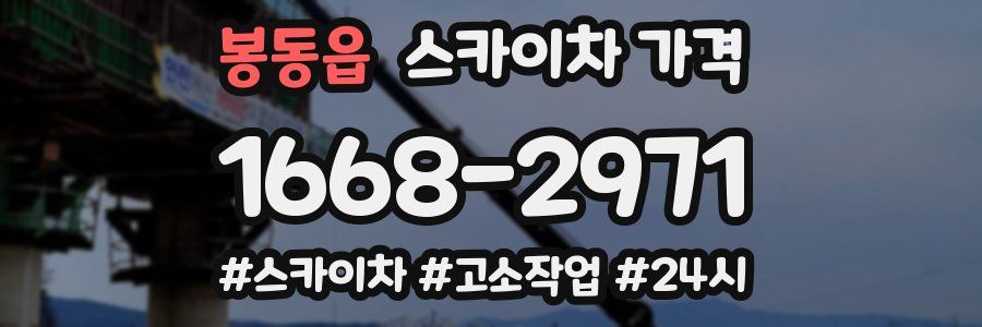 봉동읍 스카이차 가격