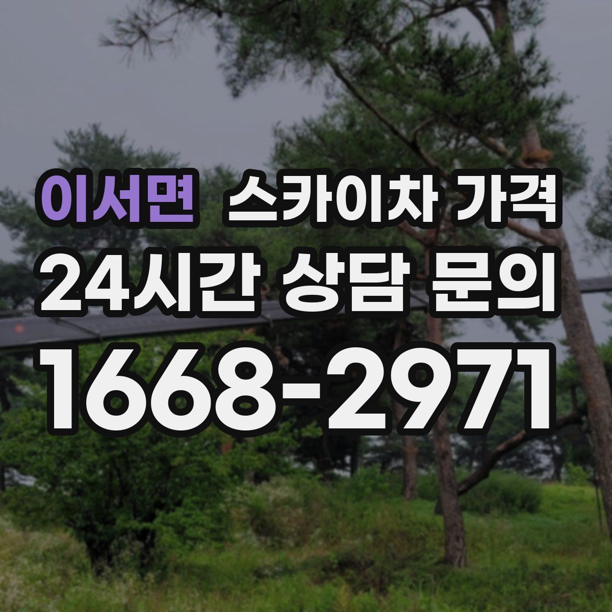 이서면 스카이차 가격