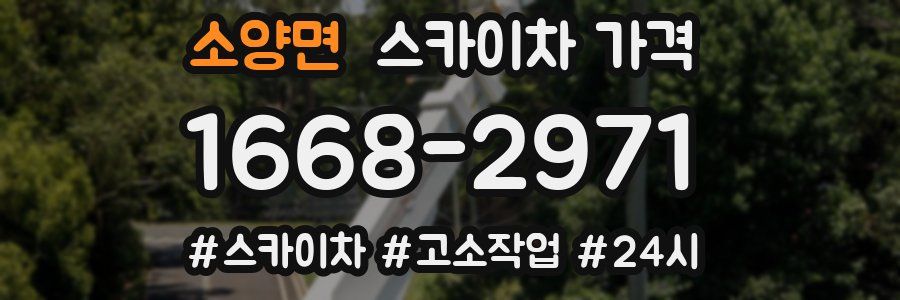 소양면 스카이차 가격