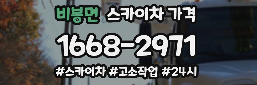 비봉면 스카이차 가격