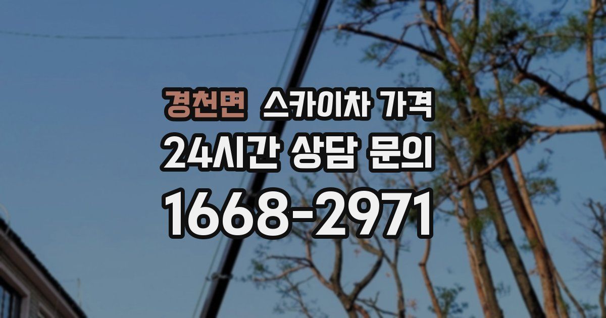 경천면 스카이차 가격