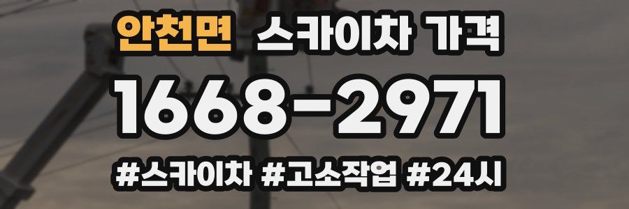 안천면 스카이차 가격