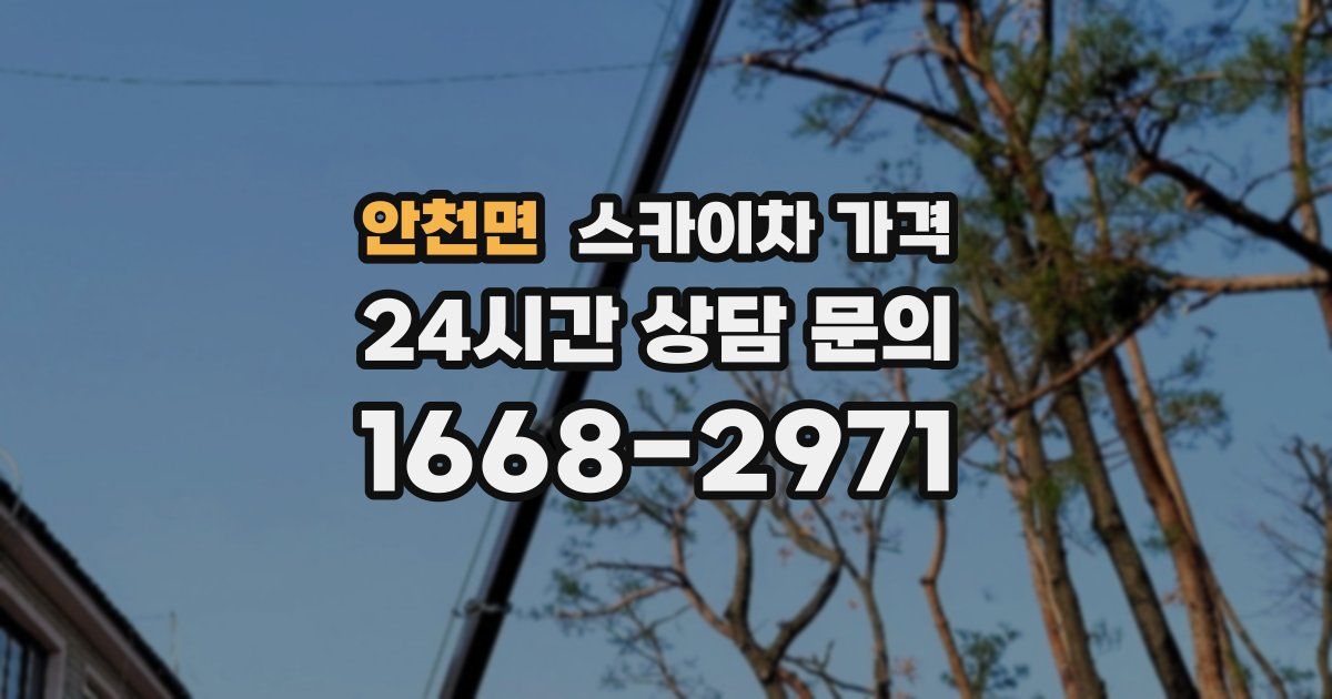 안천면 스카이차 가격
