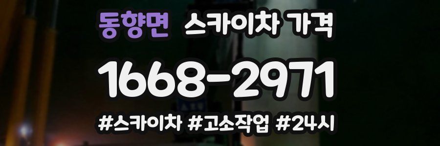 동향면 스카이차 가격