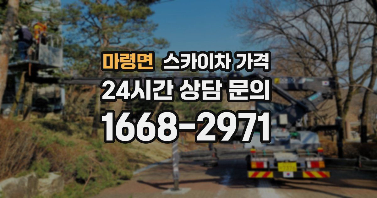 마령면 스카이차 가격