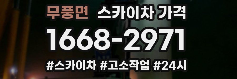 무풍면 스카이차 가격